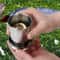 Stainless Steel Collapsible Cup with Lid Keychain Portable Metal Travel Cup