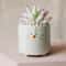 Cartoon Animal Shaped Ceramic Flower Pots Cat