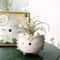 Cartoon Animal Shaped Ceramic Flower Pots Owl