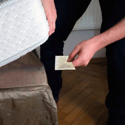 natural mite killer pads – organic mite repellent for home