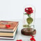 Enchanted Rose Flower Lamp 1