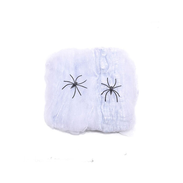 Spooky Halloween Spider Web Décor (6).jpg