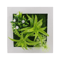 Succulent Wall Hanger Frame (4).png