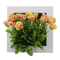 Succulent Wall Hanger Frame (12).png
