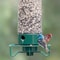 Spinning Squirrel Proof Bird Feeder 10