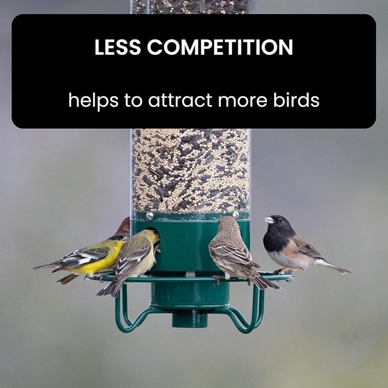 Spinning Squirrel Proof Bird Feeder 6