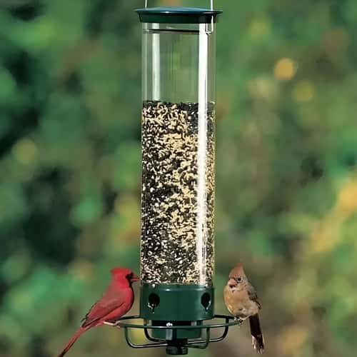 Spinning Squirrel Proof Bird Feeder