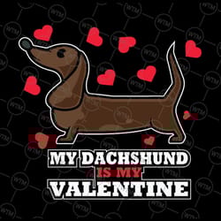 cute and funny design - my dachshund is my valentine svg, dachshund svg, valentine dachshund mom, \gift or dog lover, ha