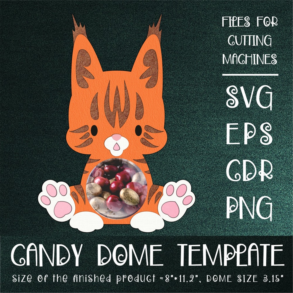 Candy Dome Template With Maine Coon Cat 0