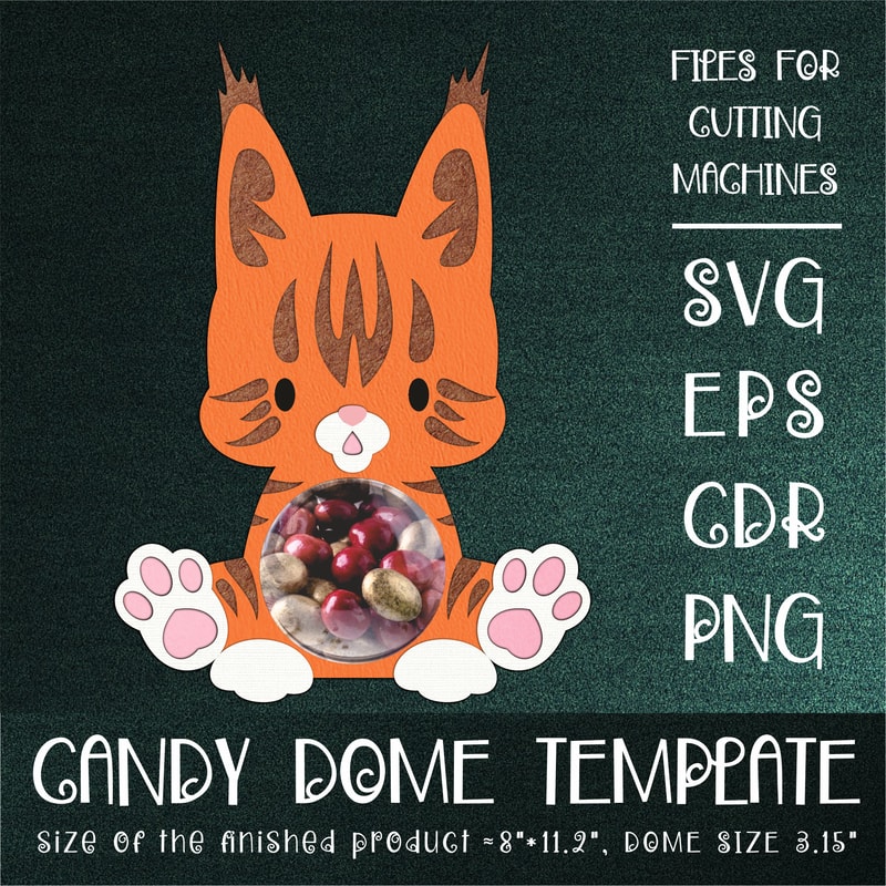 Candy Dome Template With Maine Coon Cat 0