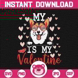 my welsh corgi dog is my valentine 2023 svg png, funny valentines svg, valentine's day svg, my dog is my valentine shirt