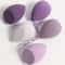 Professional Makeup Sponge Set for Liquid, Dual-Use Makeup Egg for Wet & Dry Application