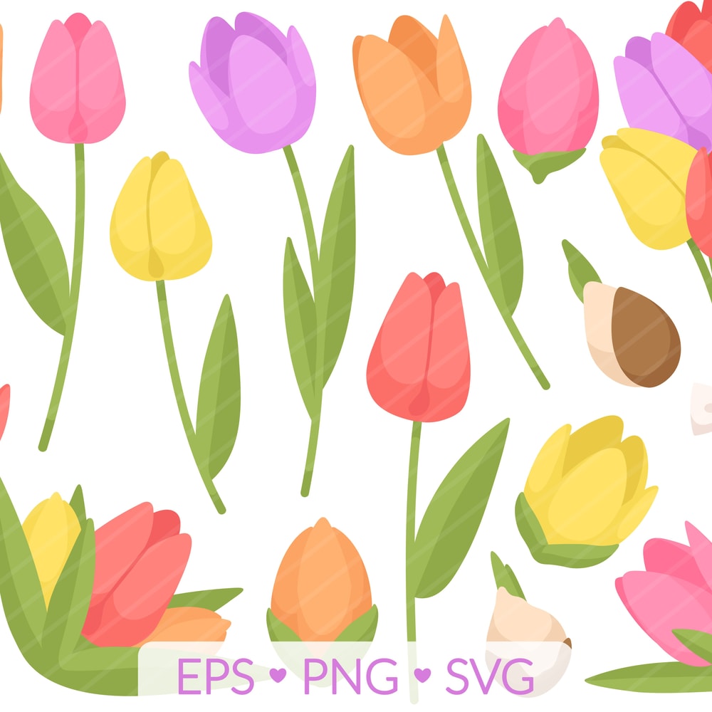 Tulip Clipart SVG PNG EPS Images Spring Flower Bulb Tulips Easter Mothers Day Spring Florals Flow 0