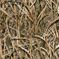 mossy oak shadowgrass blades camouflage tileable repeating pattern