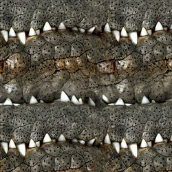 crocodile teeth 42 tileable repeating pattern