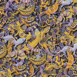 salamanders 42 tileable repeating pattern