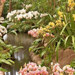 orchid garden 44 tileable repeating pattern