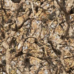 tactical camouflage 203 tileable repeating pattern