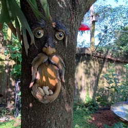 tree face bird feeder
