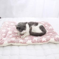 relaxing cozy calming cat & dog blanket