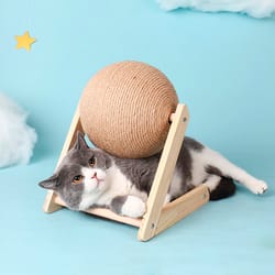 cat scratching ball toy
