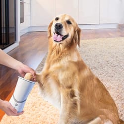 chargeable electric pet foot cleaner