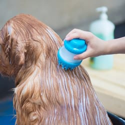pet bathing massage brush
