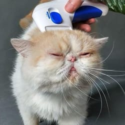 electric pet comb – effective flea and lice remover for long & short-haired pets, gift for pet lovers