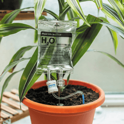 plant life support drip automatic watering system