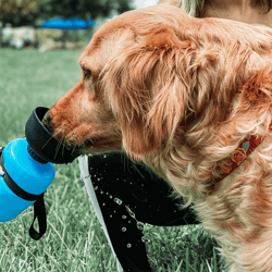 bpa free outdoor dog water bottle