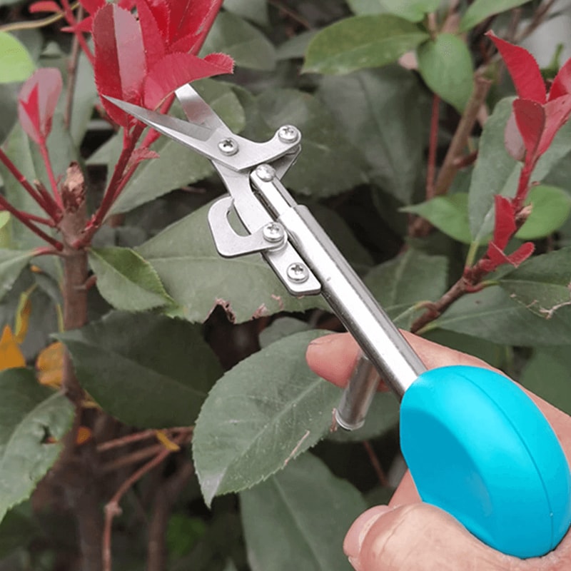 _pointedgardeningscissors3.png