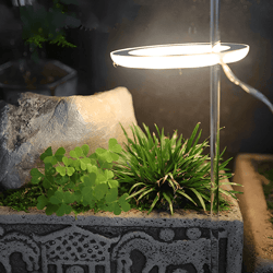 Angel Indoor Grow Lights For Plants