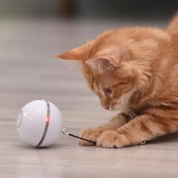smart interactive self-rotating cat toy ball