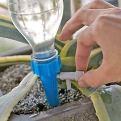watering spikes for plants