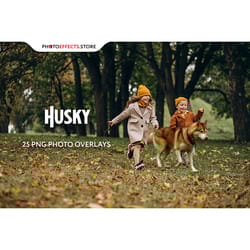 25 husky photo overlays