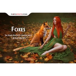 24 fox photo overlays