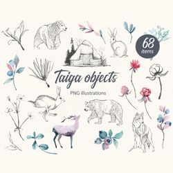 taiga objects