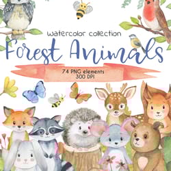 forest animals watercolor clipart, baby animals clipart, cute animal watercolor collection, digital, png, 300 dpi