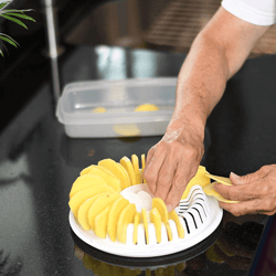 homemade potato chips microwave tray