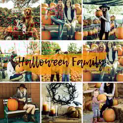 halloween preset lightroom mobile lightroom bright colors presets insta blogger mobile preset dng photografy preset