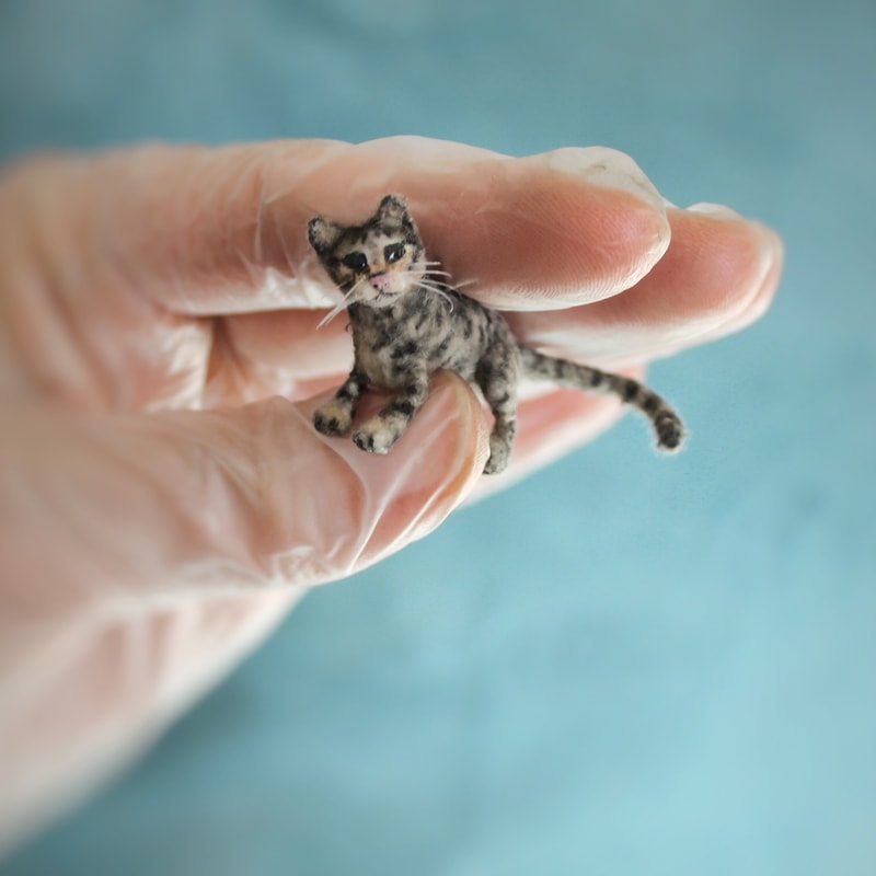 miniature cat with stripes