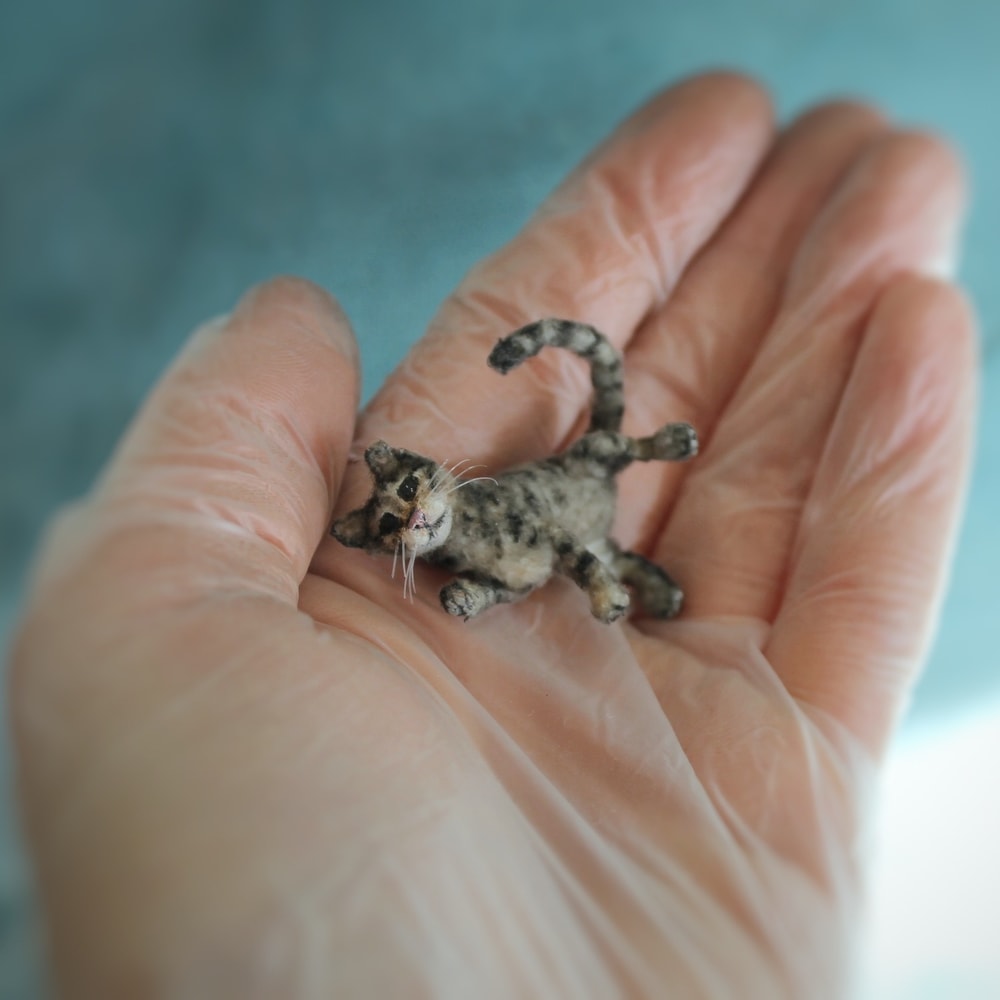 sleeping cat miniature