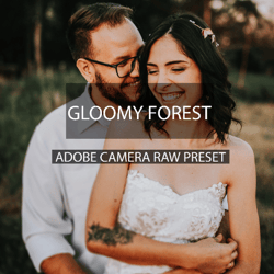 authors professional camera raw preset forest, photography presets,gloomy, xmp presets, presets desktop