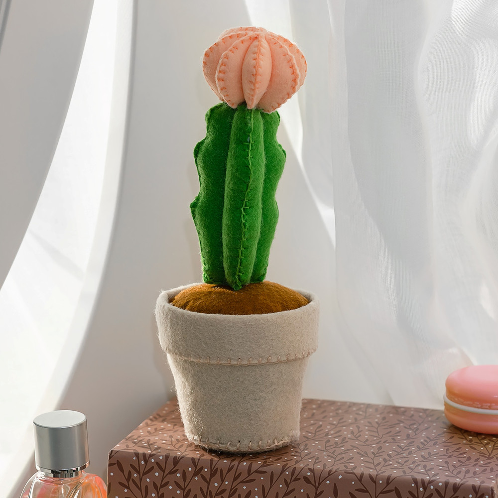 Кактус лунный 1 квадрат.jpg