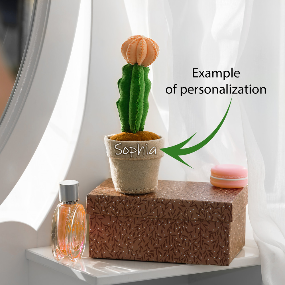 Кактус лунный 2 квадрат.jpg