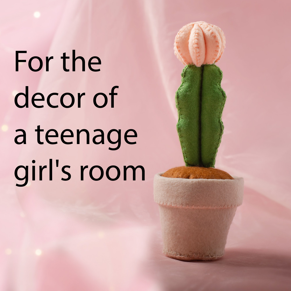 Кактус лунный 3 квадрат.jpg