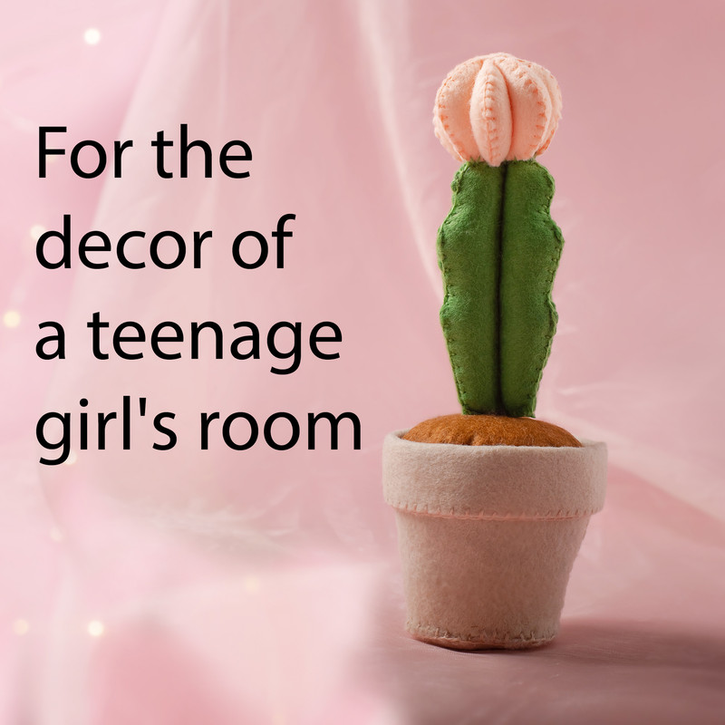 Кактус лунный 3 квадрат.jpg