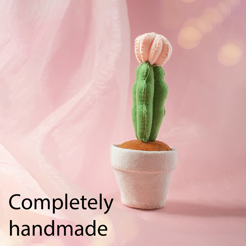 Кактус лунный 4 квадрат.jpg