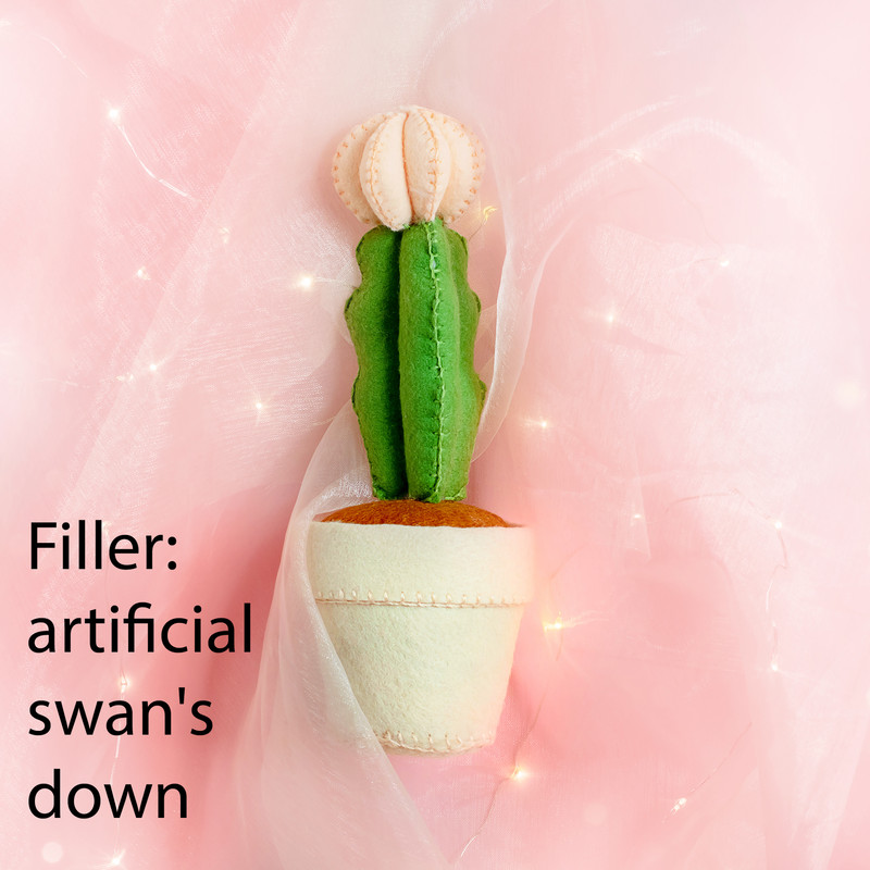 Кактус лунный 5 квадрат.jpg