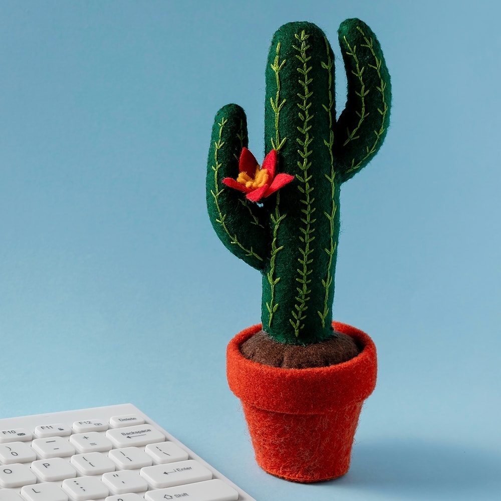 Сагуаро 1 квадрат.jpg